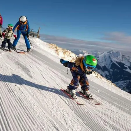 Martina 1 By Smr - Inc And Near Gondola * Rauris