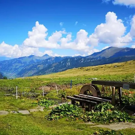 Martina 1 ラウリス