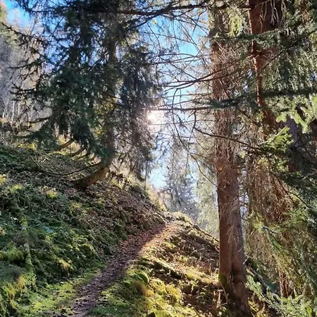 Apartment Martina 1 *